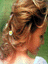 La21.GIF (4004 bytes)