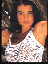 sdd53.gif (4113 bytes)