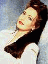 sin231.gif (3257 bytes)